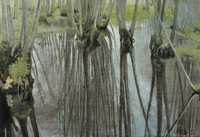 Tronchi di ontano da Laurits Andersen Ring